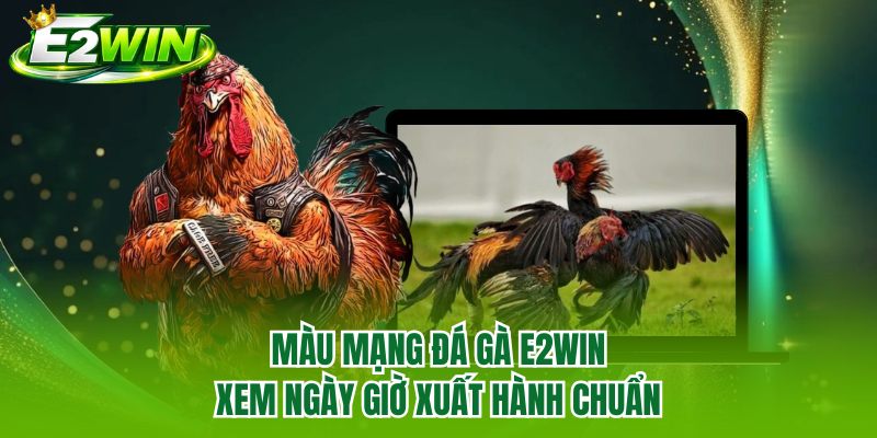 Màu Mạng Đá Gà E2WIN - Xem Ngày Giờ Xuất Hành Chuẩn