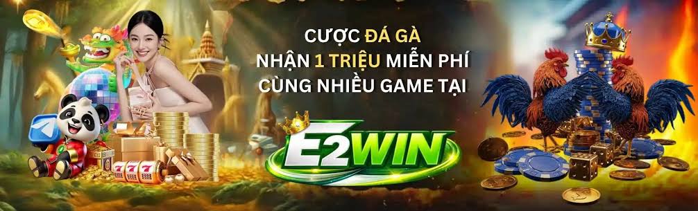 E2win baner