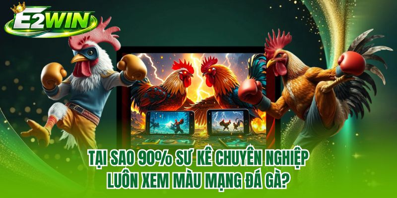 Tại sao 90% sư kê chuyên nghiệp luôn xem màu mạng đá gà?