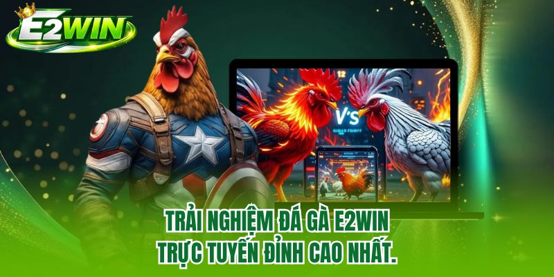 Trải nghiệm đá gà E2WIN trực tuyến đỉnh cao nhất