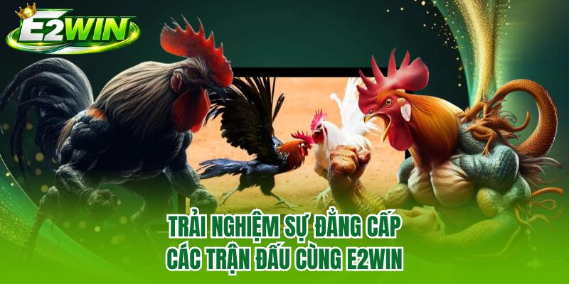 Trải nghiệm sự đẳng cấp các trận đấu cùng E2WIN